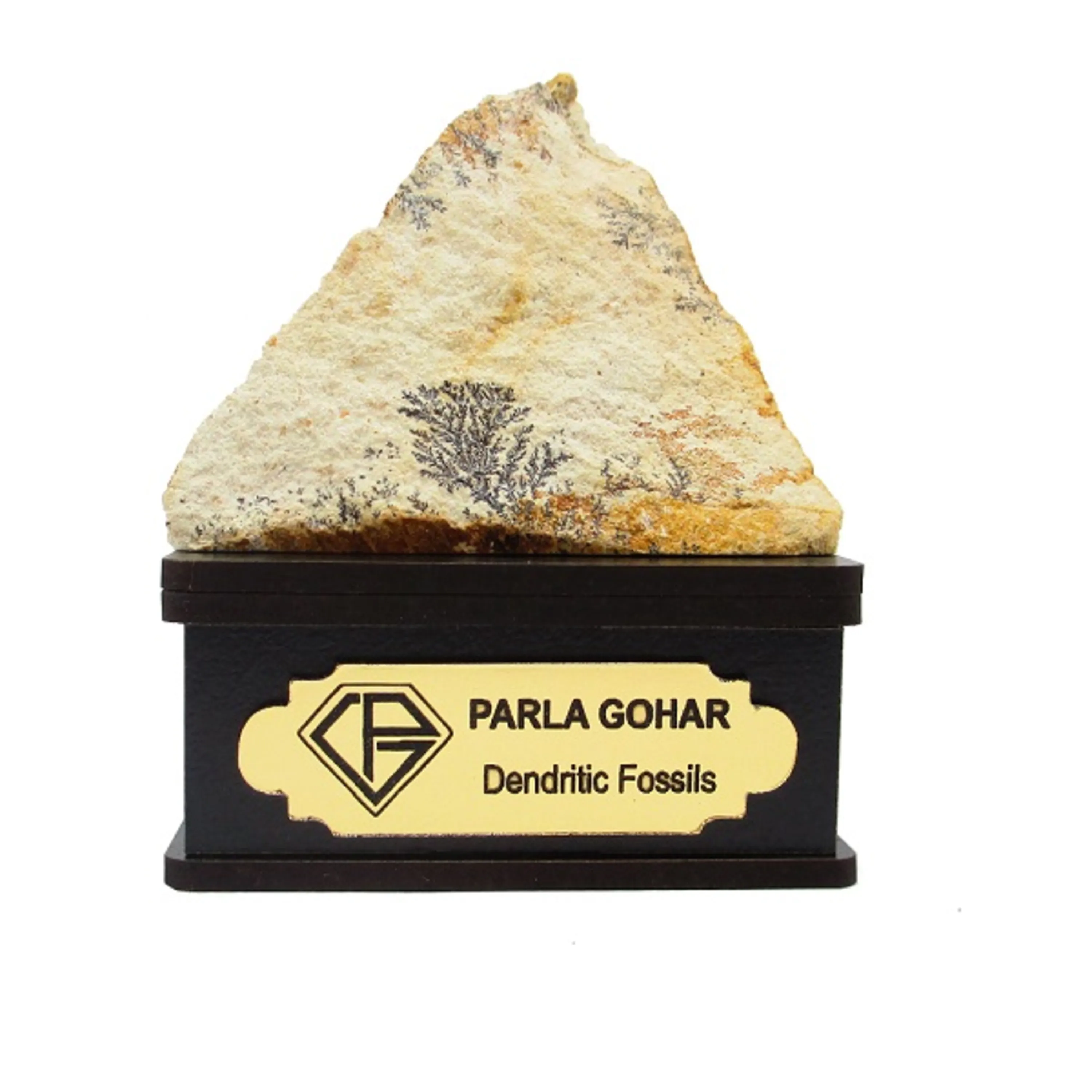 شجر راف کد 2376